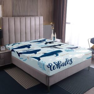 Whale Fitted Sheet Twin for Kids Boys Girls,Coastal Sea Animal Seal Sea Lion Dolphin Bedding Set,Beach Ocean Creatures Under The Sea Bed Sheets,Tropical Nautical Sea Life Whale Bed Set