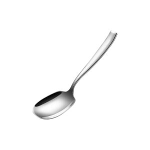 zdfqly large serving spoon, premium 316l stainless steel buffet serving spoon 9.5 inch (1pack)