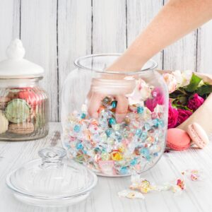 Goaste 135oz Acrylic Cookie Jar with Lid, Airtight Candy Jar Unbreakable, Clear Plastic Apothecary Jar with Silicone Sealing Ring for Dog Treats, Snack, Nuts, Chocolate, Sugar, Herbs, Spices, Cereals