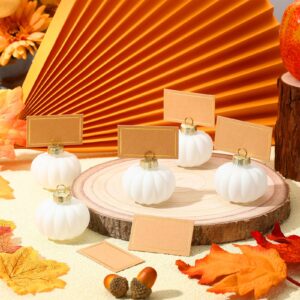 Soaoo 24 Set Thanksgiving Glass Harvest Pumpkin Place Card Holders with Thanksgiving Greeting Cards Fall Pumpkin Decor Table Name Holders Table Sign Card Holder for Thanksgiving Wedding Party (White)