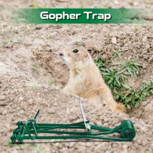 Qualirey 4 Pcs Outdoor Gopher Trap Easy Set Mole Trap Weather Resistant Gopher Killer Vole Trap for Lawn Garden Farm (Green)