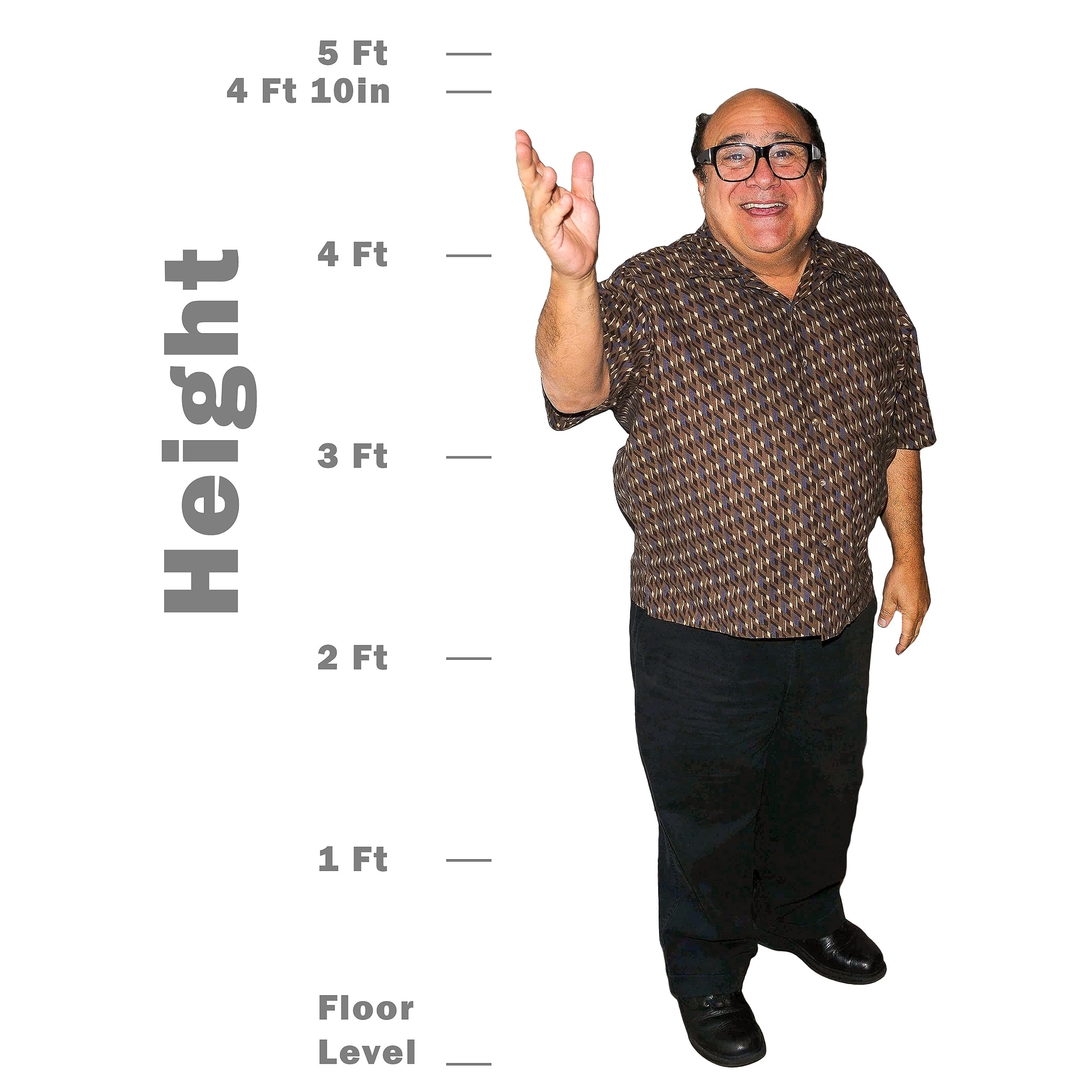 Novelty Native Danny Devito Life Size Standup Cardboard Cutout Standee (Creaseless Edition)