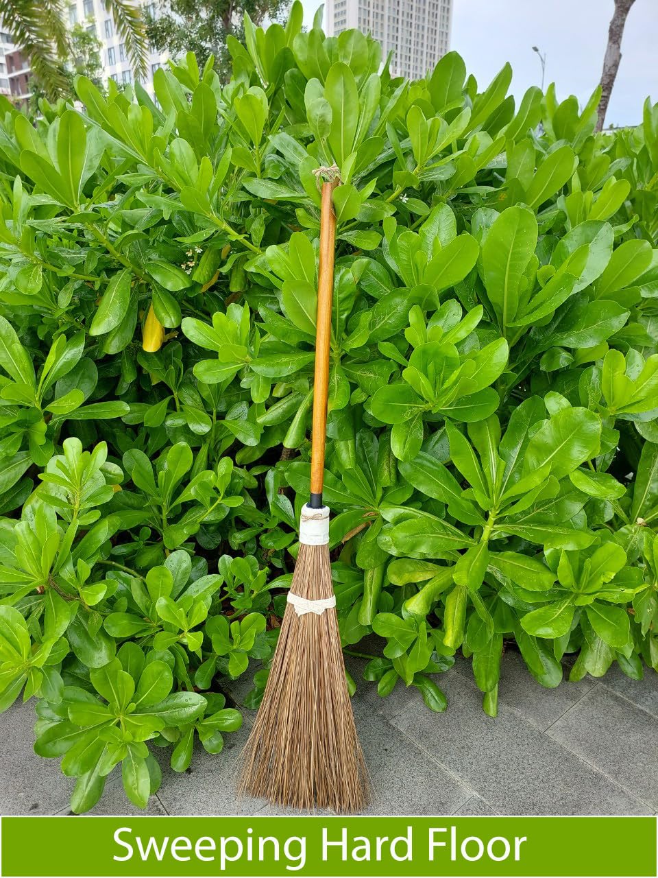 Nekenky Coconut Broom - 55 Inches Length, Heavy Duty Broom, Garden Broom, Natural Broom, Outdoor Broom, Garage Broom, Hard Floor Broom, Outdoor Brooms for Sweeping Patio