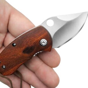 outROAR Gear Stubby Pocket Knife with Wood Handle, Heavy-Duty Alloy Steel, Sharp Folding Lock Blade for Camping, Utility, Hunting, and Fishing, Pocketknife for Men or Women