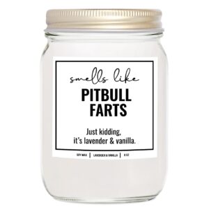 younique designs smells like pitbull farts soy candle gifts for pitbull lovers - pit bull mom gifts for women - pitbull mom gifts dog farts candle 8oz - gifts for dog lovers (lavender & vanilla)