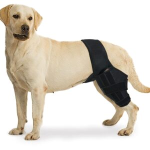 Dog Knee Brace Hind Leg Cruciate Ligament Injury for Torn ACL CCL Joint Pain Muscle Sore Inflammation (Medium)