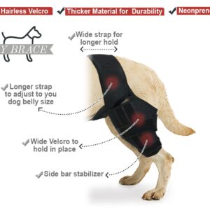 Dog Knee Brace Hind Leg Cruciate Ligament Injury for Torn ACL CCL Joint Pain Muscle Sore Inflammation (Medium)