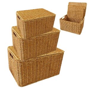 rt&bs set of 3 wicker storage basket with lid, handwoven storage basket box - organizer for toys books fruits stationery