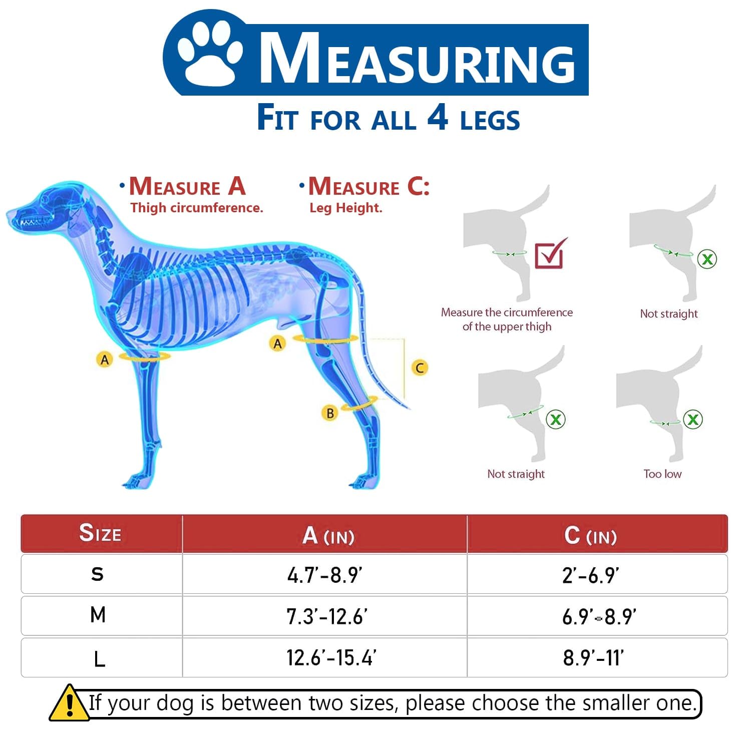 Dog Knee Brace Hind Leg Cruciate Ligament Injury for Torn ACL CCL Joint Pain Muscle Sore Inflammation (Medium)