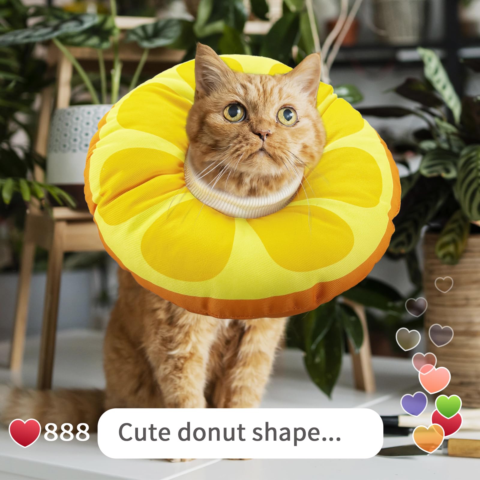 KUDES Cat Small Dog Cone Collar,{Fruit Series}Cute Orange Waterproof Elizabethan e Collar Anti-Bite Lick Wound Healing Protective Neck Cone After Surgery Recovery Collar for Small Pet,All-Season Style