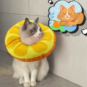 KUDES Cat Small Dog Cone Collar,{Fruit Series}Cute Orange Waterproof Elizabethan e Collar Anti-Bite Lick Wound Healing Protective Neck Cone After Surgery Recovery Collar for Small Pet,All-Season Style