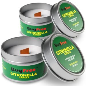 citronella candles outdoor & indoor (6oz) - pine scented - citronella tealight candles - citronella candle - mountain pine with wooden wick 25 hour burn time (2 pack)