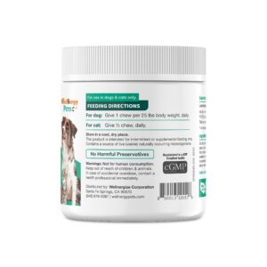 Wellnergy Daily Probiotic & Prebiotics Soft Chew for Dogs & Cats - Digestive Support for Diarrhea, Constipation, Upset Stomach, Indigestion & Gas - Helps Digestion, Allergy Skin & Immune Health 70ct