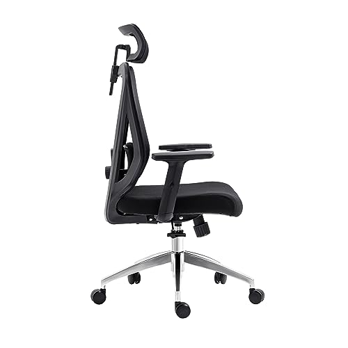 Techni Mobili Truly Ergonomic Office Chair with Lumbar Support & Adjustable Headrest – Breathable Mesh Office Chair with 5 Precision Adjustment Points, Black