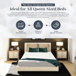 Queen Size Mattress - 6 Inch Cool Comfort Foam & Spring Hybrid Mattress with Breathable Organic Cotton Cover - Quilted Soft Tight Top - Rolled in a Box - Oliver & Smith