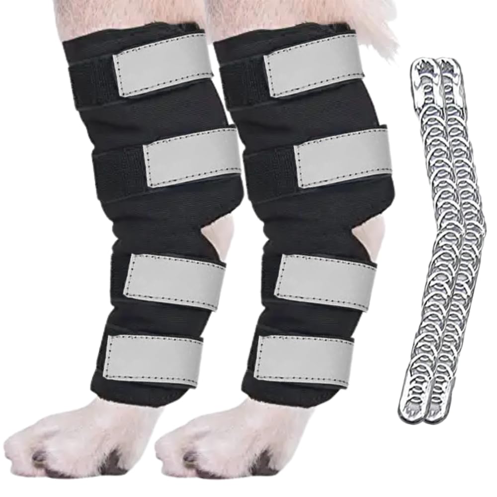 AGON Dog Hock Brace Supportive Pair Hock Joint Brace with Metal Strings and Reflective Wraps Compression Straps Canine Back Leg Protects Wounds. Heals Injuries Sprains Loss Stability by Arthritis