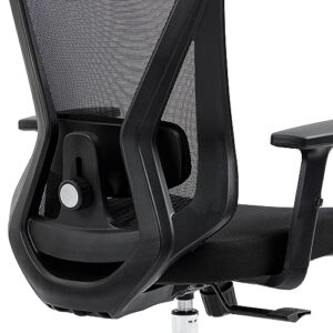 Techni Mobili Truly Ergonomic Office Chair with Lumbar Support & Adjustable Headrest – Breathable Mesh Office Chair with 5 Precision Adjustment Points, Black