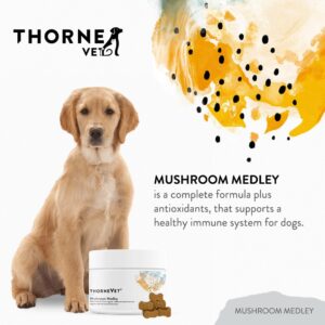 ThorneVet Mushroom Medley for Dogs - Immune System Support Plus Antioxidants - with Reishi, Turkey Tail, Cordyceps, Maitake, and Chaga Mushrooms - Support for Dogs Having Cancer Treatment - 120 Scoops