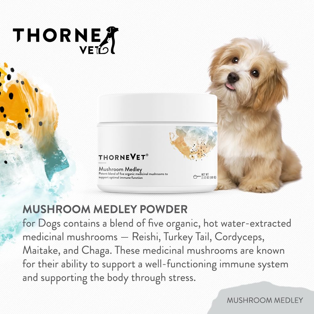 ThorneVet Mushroom Medley for Dogs - Immune System Support Plus Antioxidants - with Reishi, Turkey Tail, Cordyceps, Maitake, and Chaga Mushrooms - Support for Dogs Having Cancer Treatment - 120 Scoops