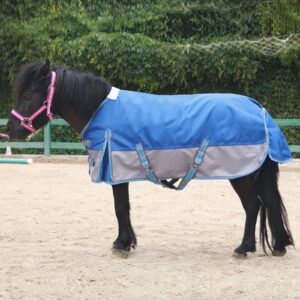 Gallopoff Mini Horse/Pony/Foal/Miniature Size 36"-51" Lightweight Waterproof & Breathable 1200 Denier Turnout Blanket with No Filling RoyalBlue 51"