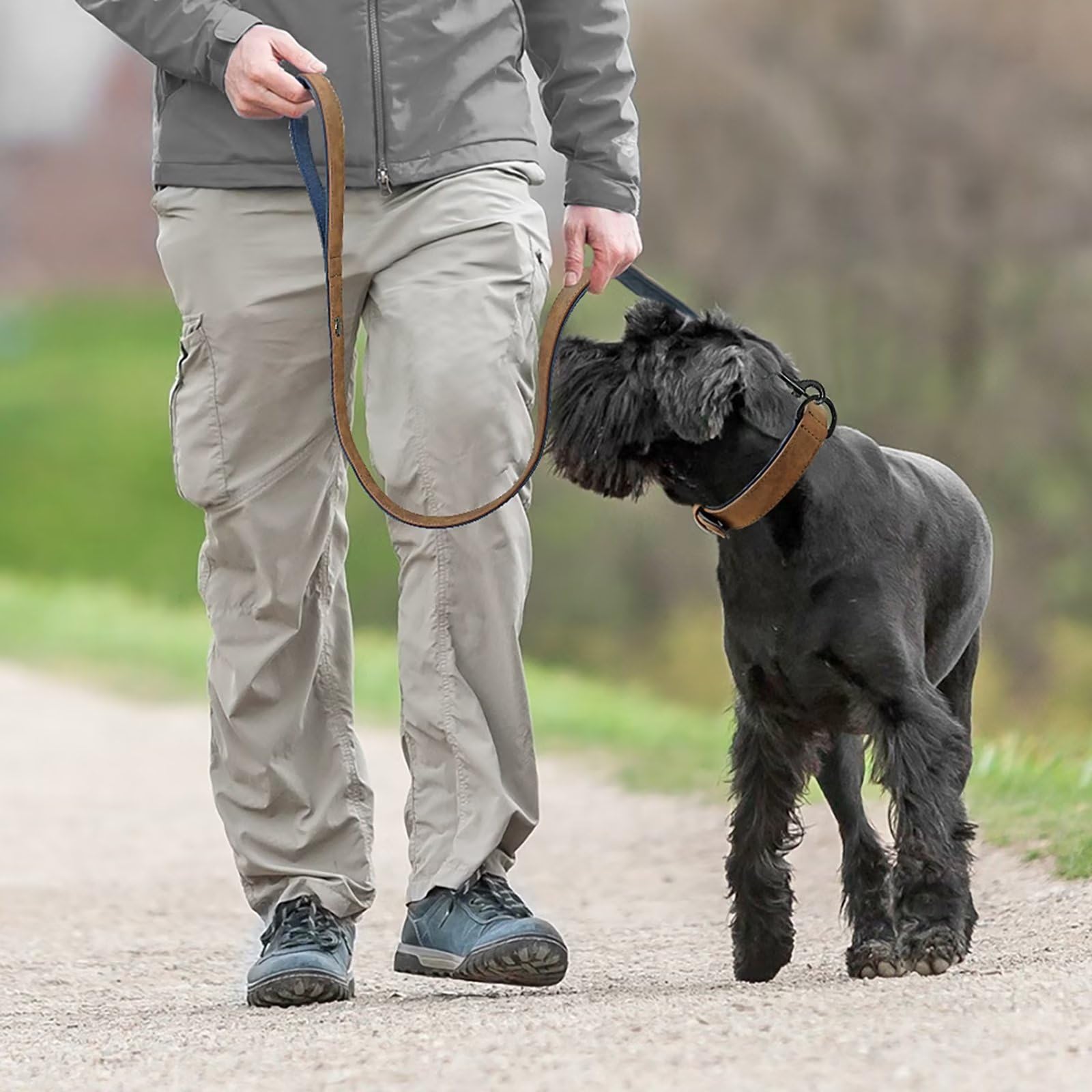 Didog Soft Padded Leather Dog Collar and Leash Set, Heavy Duty Dog Leash and Collar Set with Metal Buckle, Breathable Dog Collars with 4FT Leather Dog Leash for Small Medium Large Dogs, Brown, L