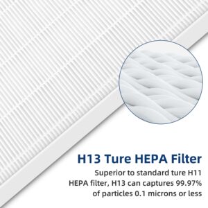 APPLIANCEMATES HSP001 Filter Replacement for Hathaspace Air Purifier HSP001, 4-in-2 H13 True HEPA Filter and Activated Carbon Filter,2 Pack