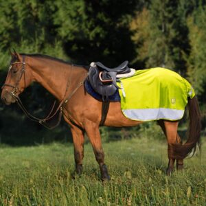 Harrison Howard Quarter Horse Fleece and Mesh Exercise Sheet Breathable Comfort Turnout Horse Blanket Hi-Viz Competition Rug Fluorescent Green L