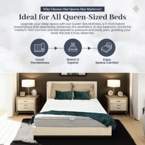 Queen Size Mattress - 6 Inch Cool Comfort Foam & Spring Hybrid Mattress with Breathable Organic Cotton Cover - Quilted Soft Tight Top - Rolled in a Box - Oliver & Smith