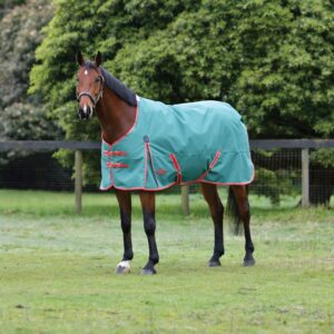 WeatherBeeta ComFiTec Prelim Standard Neck Medium Horse Blanket, Dark Green/Red/White, 81"