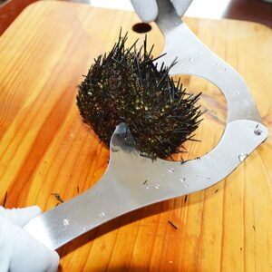 Maxmartt Sea Urchin Opener Stainless Steel Sea Urchin Cutter Multifunctional Seafood Tool for Kitchen Resturant