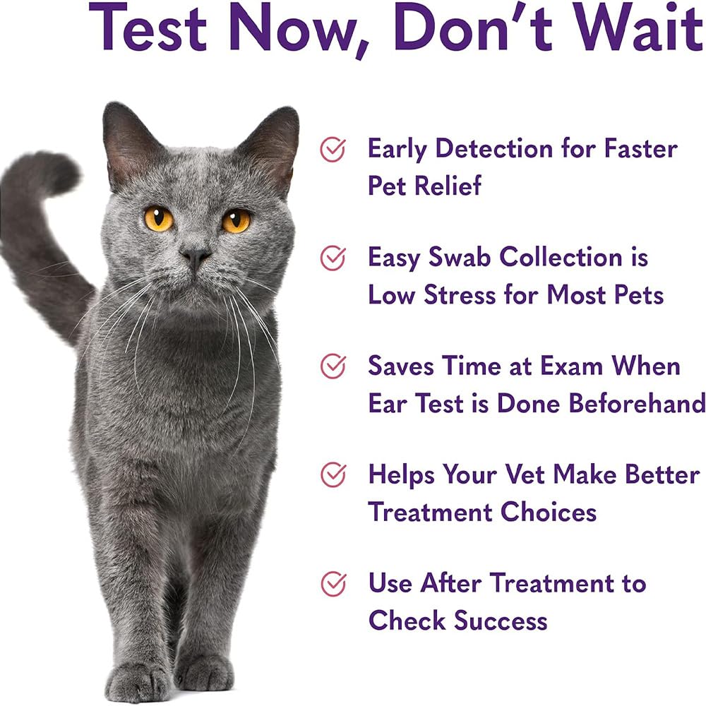 MySimplePetLab Cat Ear Infection Test Kit | Fast and Accurate Detection of Cat Ear Yeast and and Other Ear Irritations | Reliable Mail-in Ear Care Cat Test Kit for Smelly, Itchy, or Sore Ears