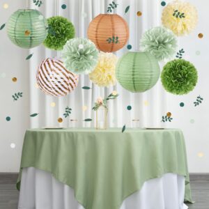 Sage Green Party Decorations with Paper Lanterns and Tissue Paper Pom Poms Green Hanging Decorations for Birthday Baby Shower Wedding Bridal Shower Graduation Party Decor