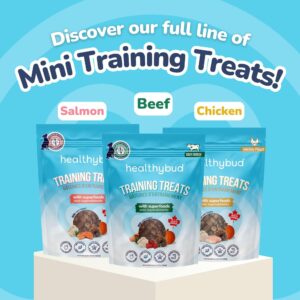 healthybud Mini Dog Training Treats - Beef Liver Soft Trainer Bites, 500+ Bits, 1 kCal per Bite, 6.5oz, Reishi, Lion’s Mane, Salmon Oil, Puppy Chews (Beef)