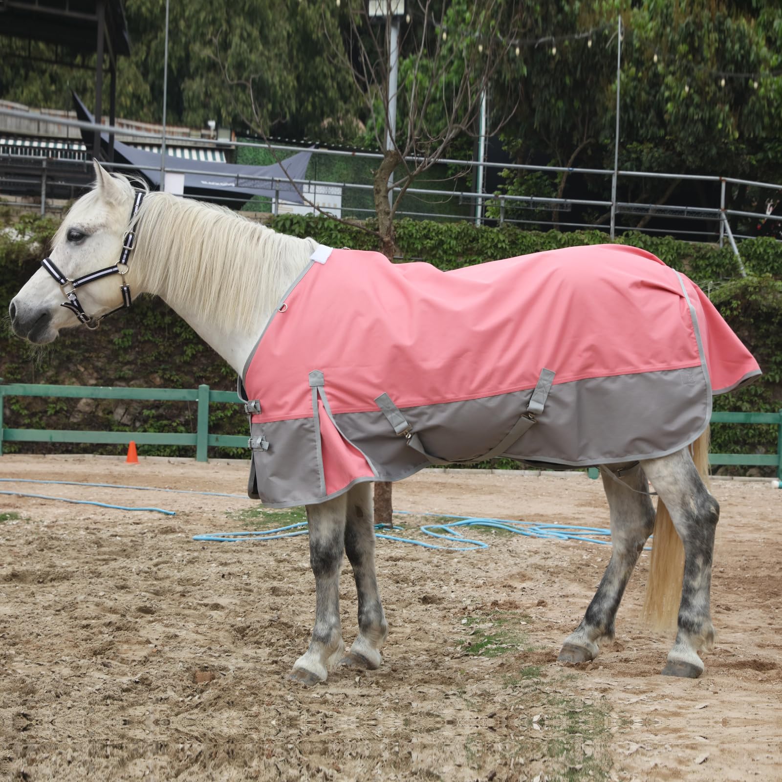 Gallopoff 1200 Denier Rip-Stop Turnout Rain Sheet Lightweight Waterproof Breathable Horse Blanket (No Fill) Pinkgrey 72"