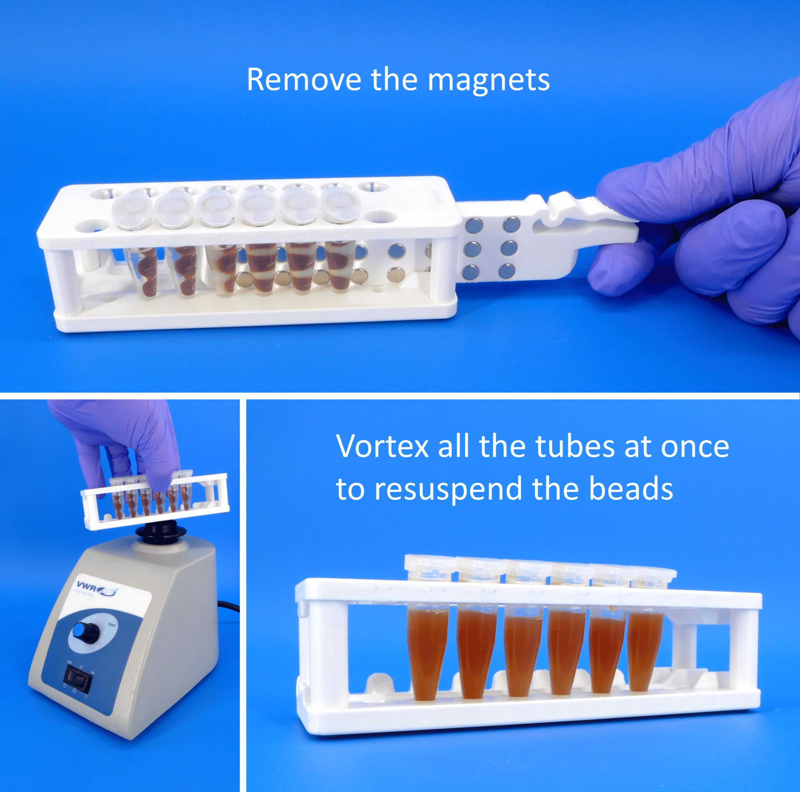 Magnetic Rack for 1.5 and 2 mL centrifuge Tubes, with Removable Magnets