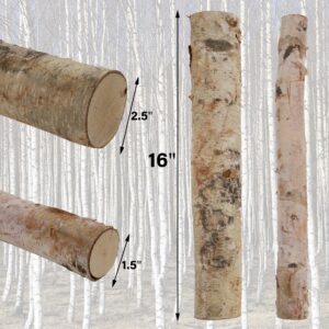 Sancodee 12 Pcs 16" Large White Birch Logs for Faux Fireplace Filler Decorative, Unfinished Wood for DIY Crafts, Wood Branches for Outdoor Indoor Electric Gas Mock Fireplace, Firebowl, Fire Pits