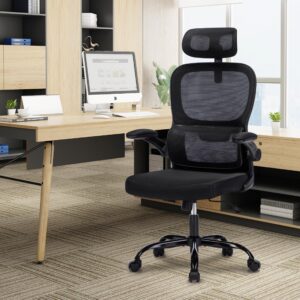 SOMEET Office Chair, Ergonomic Mesh Office Chair with Adjustable Headrest and Arms, High Back Ergonomic Desk Chair with Lumbar Support, Comfortable Home Office Desk Chairs with Tilt Lock (Black)