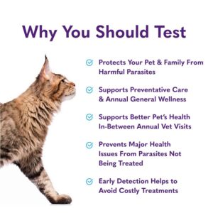 MySimplePetLab Cat Stool Test Kit | Fast and Accurate Cat Worms and Giardia Test | Mail-in Stool Sample Kit for Early Detection of Cat Worms and Giardia