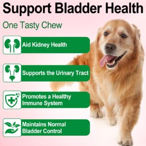 Urinary Tract for Dogs, Natural Dog Urinary Tract Infection Treatment Drops - Supports Bladder, Kidney Stone, Dog UTI, Pet Supplement Renal Health Care Drops, Bacon Flavor - 60ml / 2.02oz