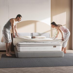 TeQsli 12 Q Mattress