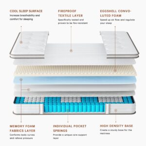 TeQsli 12 Q Mattress