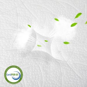 TeQsli 12 Q Mattress