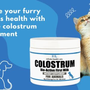 Infinite Health Labs Bio-Active Bovine Colostrum for Dogs, Cats, Puppies, Kittens & Pets - Daily Colostrum Powder Supplement 40g (80 Servings)