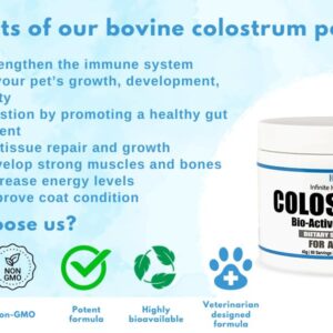 Infinite Health Labs Bio-Active Bovine Colostrum for Dogs, Cats, Puppies, Kittens & Pets - Daily Colostrum Powder Supplement 40g (80 Servings)