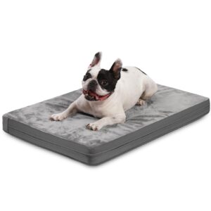 waterproof small dog bed crate pad 24 inch, washable puppy bed orthopedic with removable cover reversible, foam dogs bed, cat bed kennel pad 23" x17, anti-slip bottom, gray