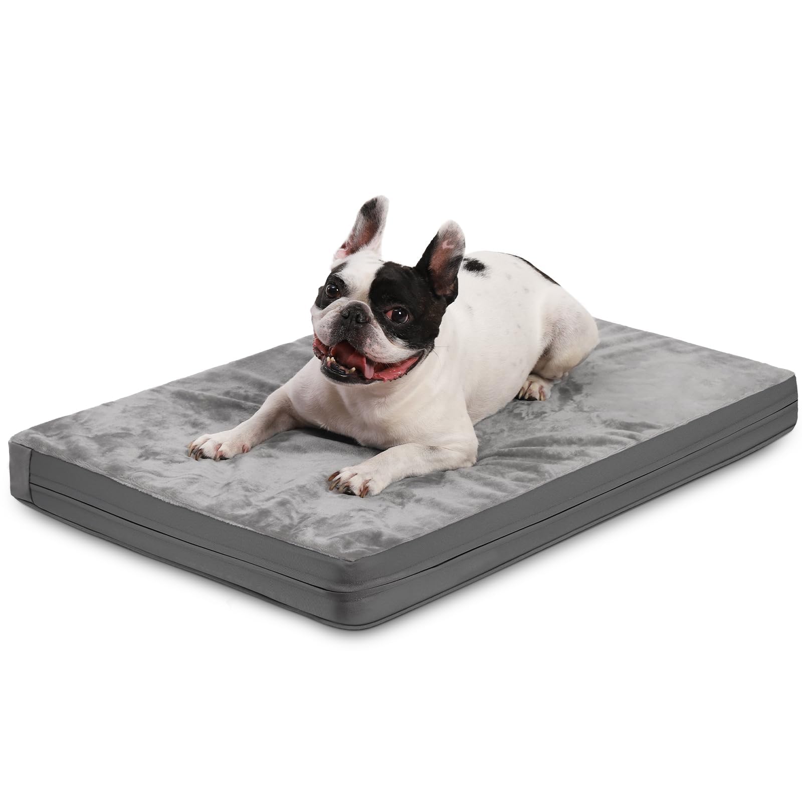 Waterproof Small Dog Bed Crate Pad 24 inch, Washable Puppy Bed Orthopedic with Removable Cover Reversible, Foam Dogs Bed, Cat Bed Kennel Pad 23" x17, Anti-Slip Bottom, Gray