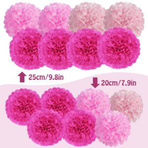 Hot Pink Tissue Pom Poms Paper Flowers Hanging Decorations Pink Flower Ball for Baby Shower Wedding Nursery Birthday Party Backdrop Home Outdoor