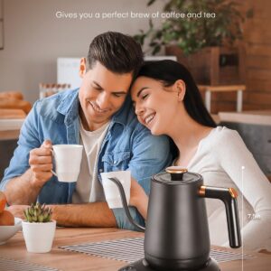 Electric Gooseneck Kettle, Tea Kettle ±1℉ Temperature Control, 0.8L Pour Over Electric Kettle for Coffee & Tea, Hot Water Boiler, Stainless Steel Inner, 1200W Rapid Heating,LCD Display,Matte Black