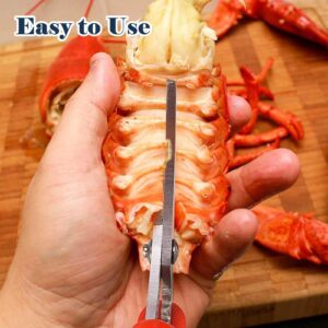 2 Pack Seafood Scissors,Seafood Fish Crab Shrimp Lobster Scissors Stainless Steel Shears for Kitchen Tools