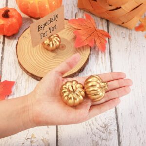 Barydat 27 Pcs Thanksgiving Mini Gold Pumpkin Place Card Holder Pumpkin Name Card Holder Fall Table Number Holders for Thanksgiving Decor Fall Themed Wedding Bridal Brunches Party Decorations